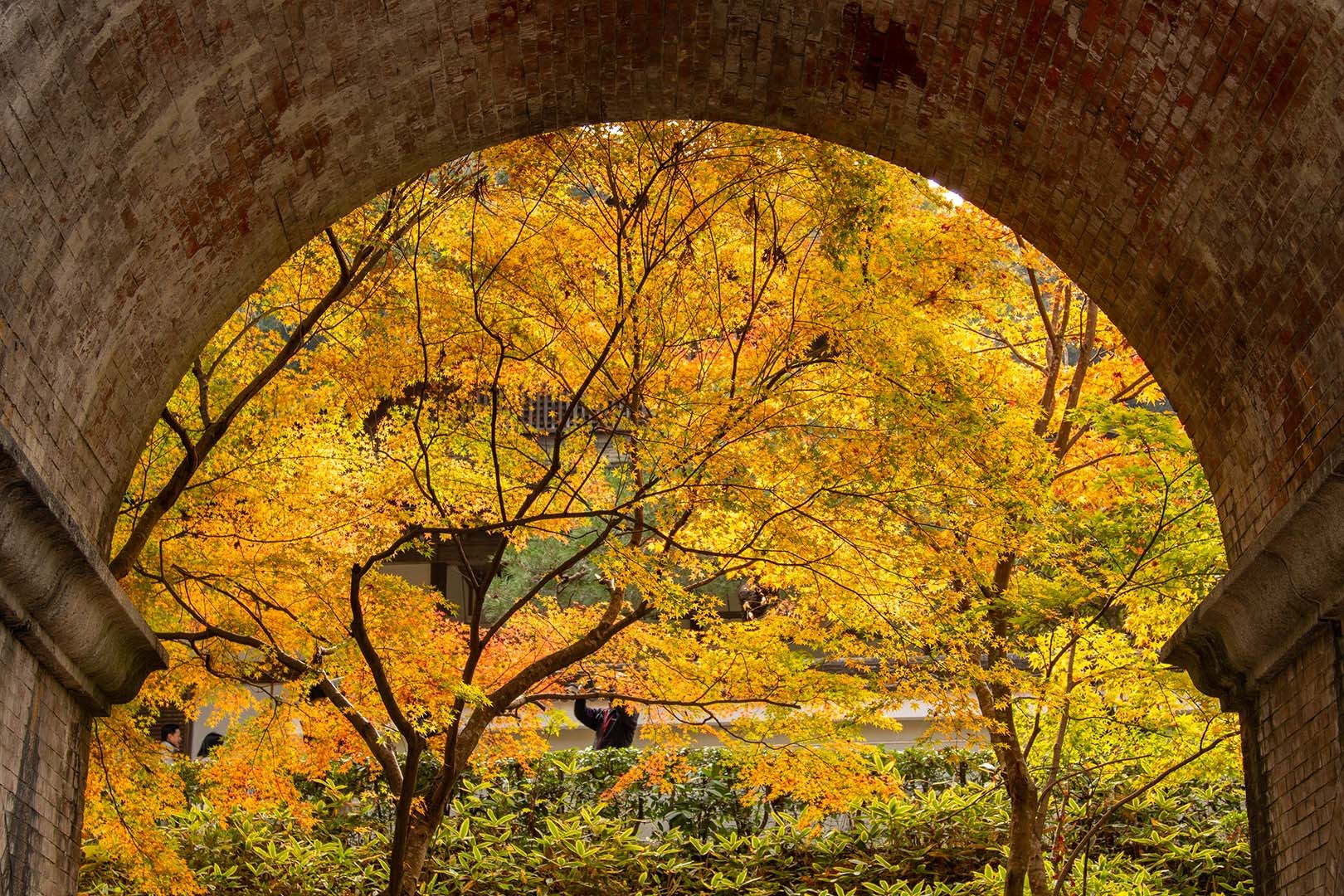 京都 紅葉 （南禅寺）_a0003166_14520702.jpg