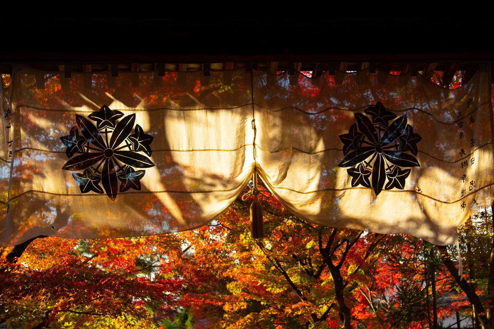 京都 紅葉 （永観堂、東福寺）_a0003166_14520830.jpg