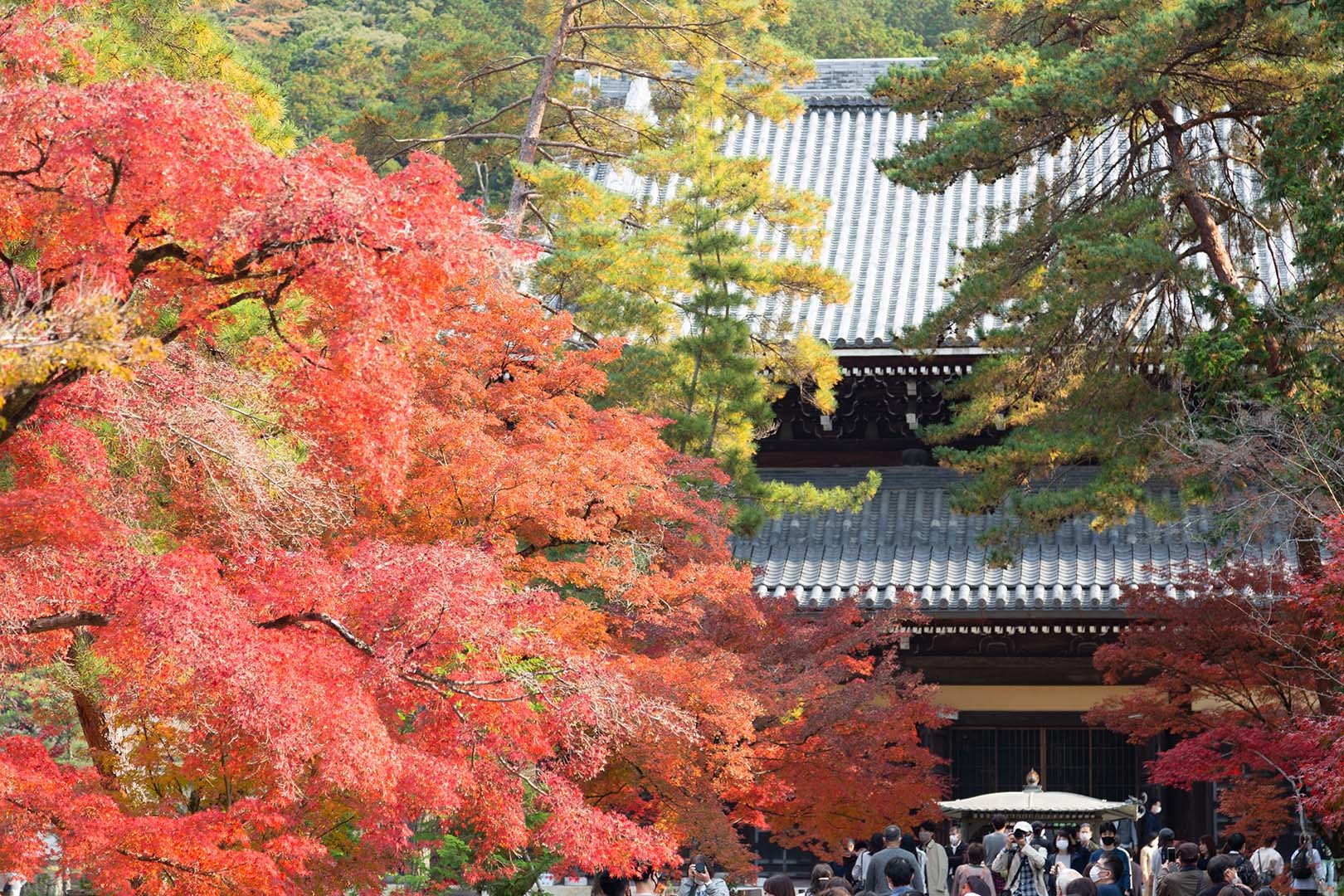 南禅寺　紅葉_a0003166_14520990.jpg