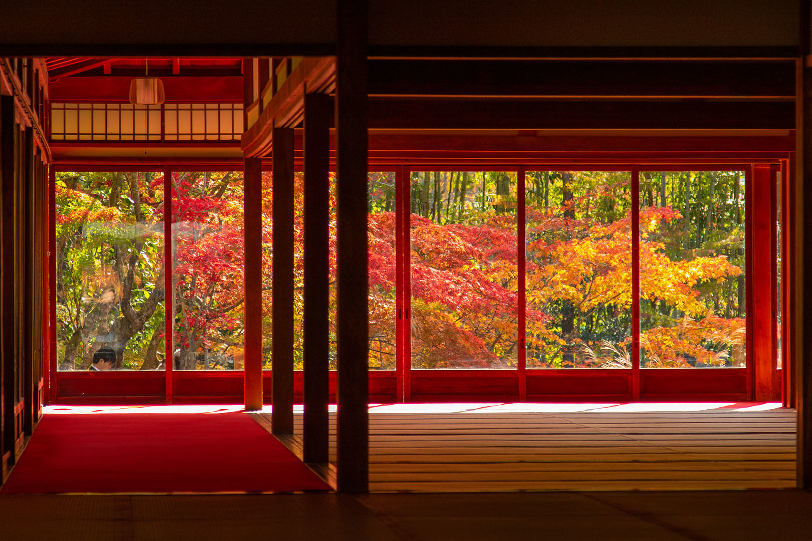 京都 紅葉 （南禅寺）_a0003166_14521969.jpg