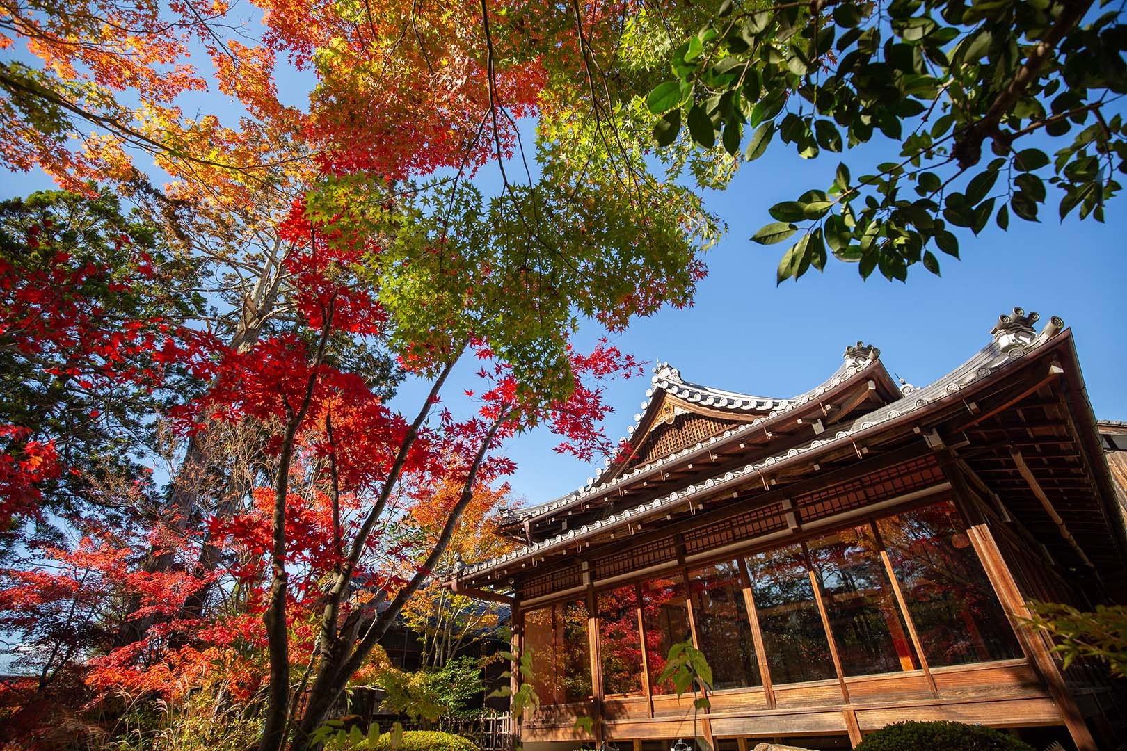 京都 紅葉 （南禅寺）_a0003166_14521988.jpg