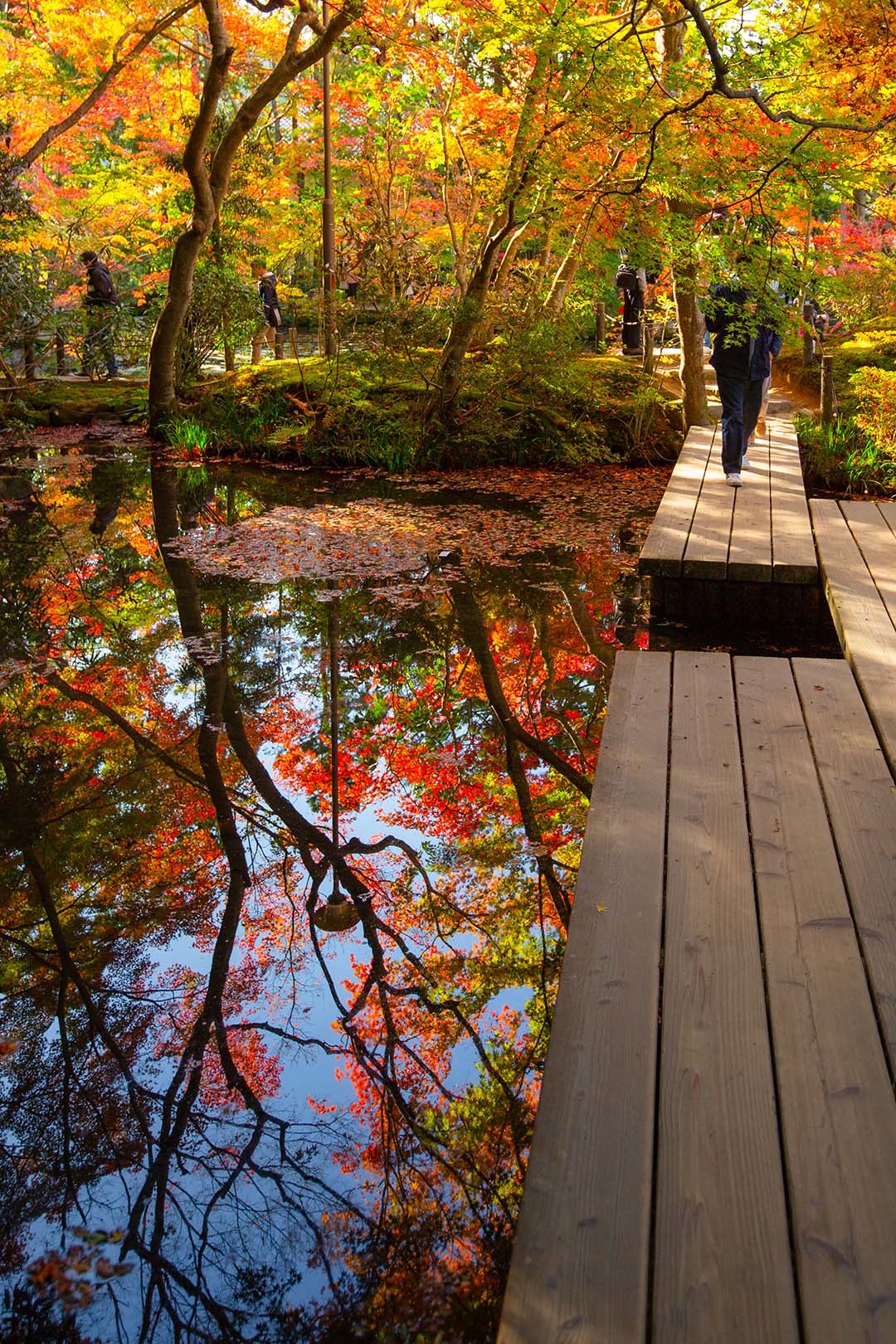 京都 紅葉 （南禅寺）_a0003166_14521998.jpg