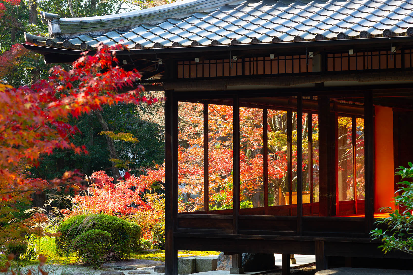 南禅寺 天授庵　紅葉_a0003166_14531101.jpg