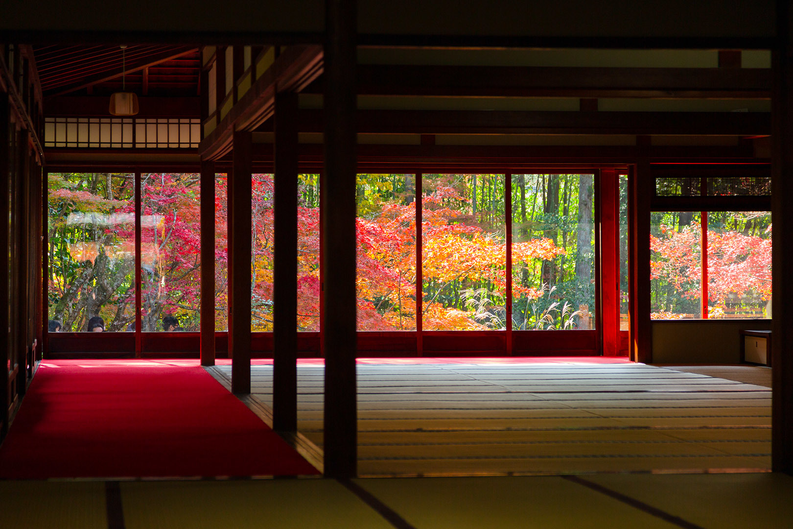 南禅寺 天授庵　紅葉_a0003166_14531157.jpg