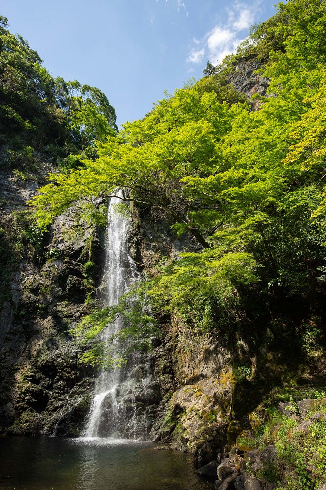 箕面_a0003166_14532229.jpg