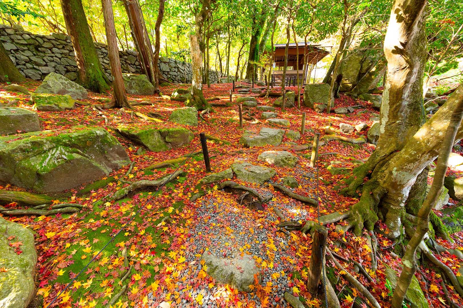 旧竹林院　その２_a0003166_14594643.jpg