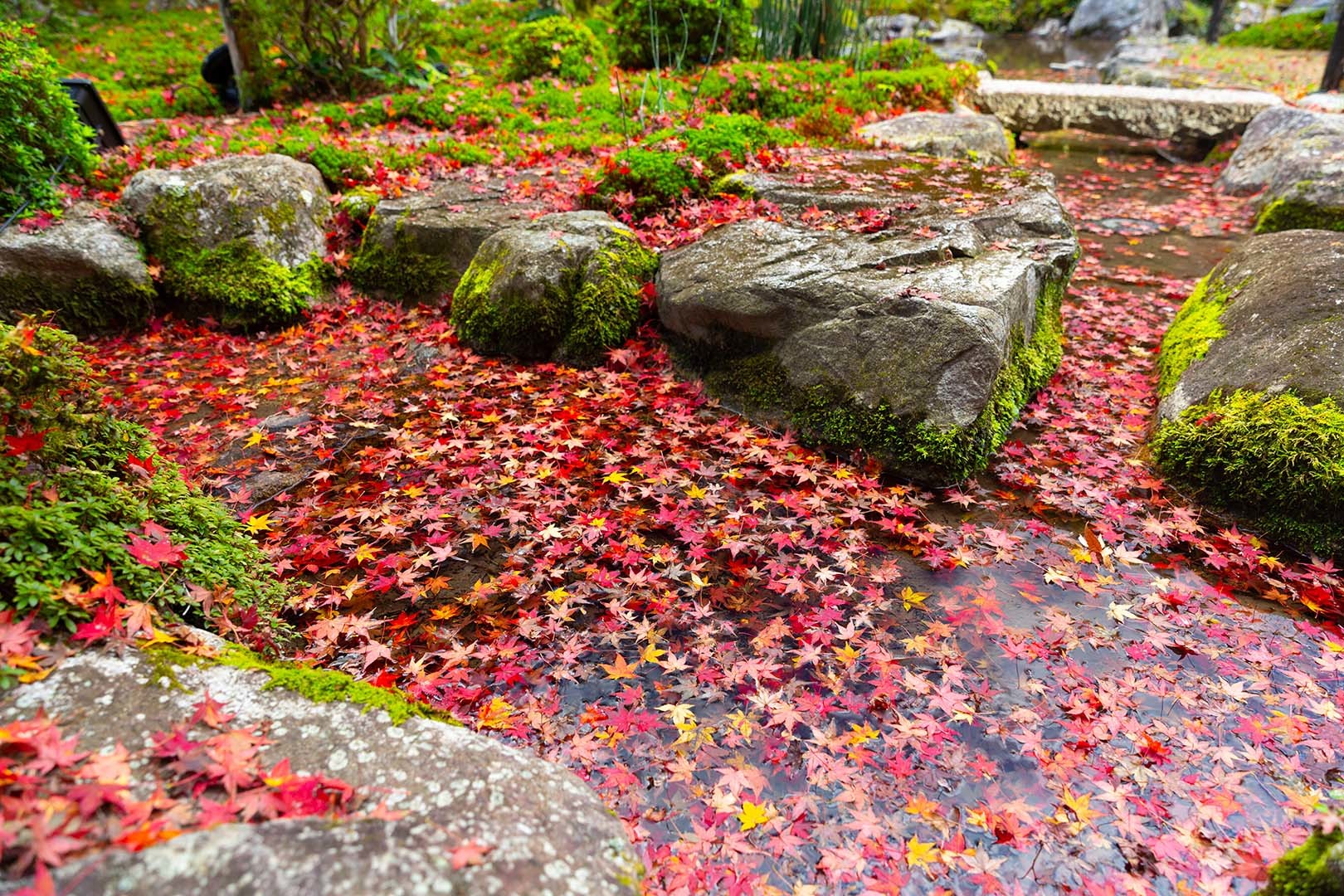旧竹林院　その２_a0003166_14594653.jpg