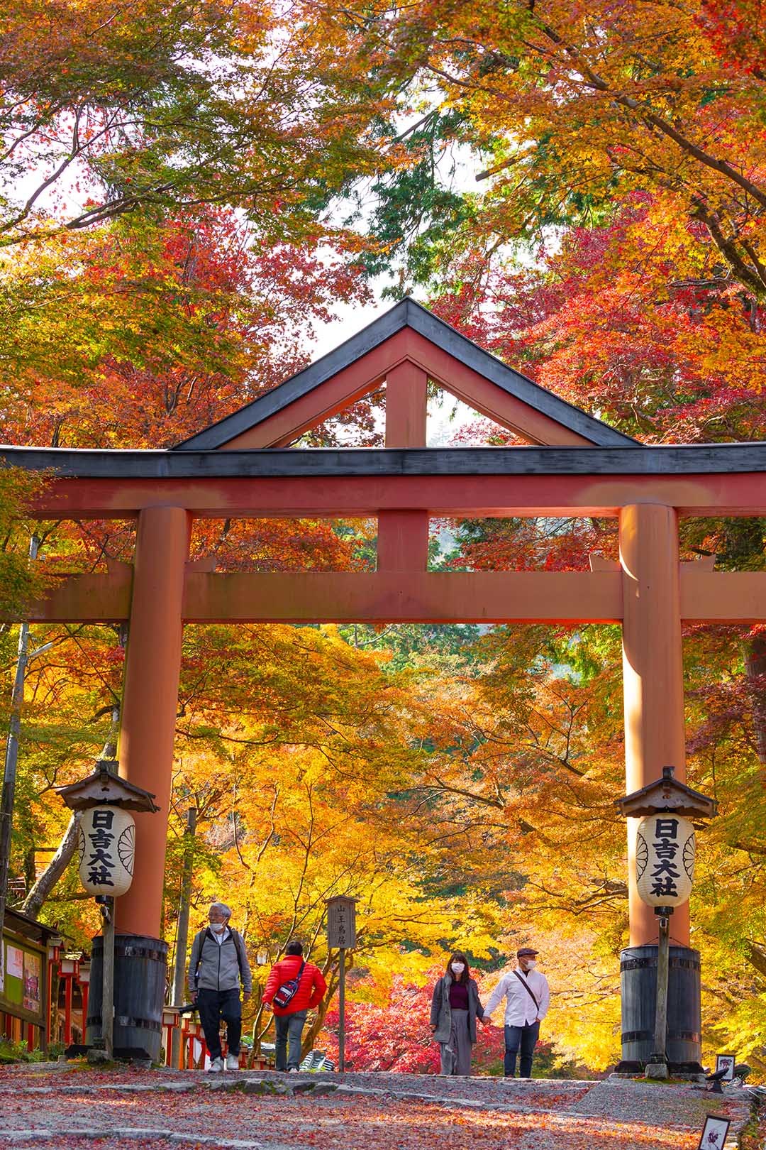日吉大社　紅葉_a0003166_15005552.jpg