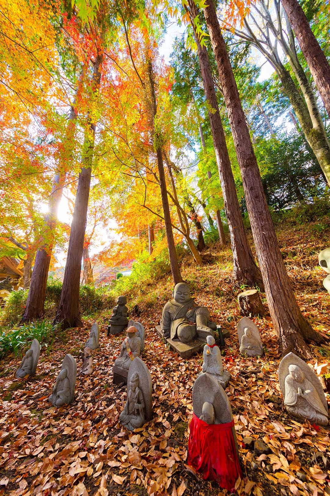 西教寺　紅葉_a0003166_15022721.jpg