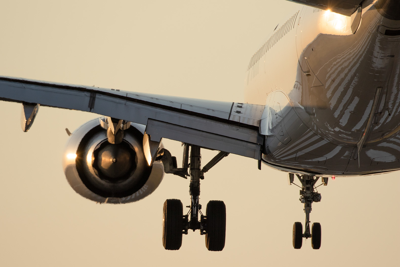 飛行機 夕焼け（伊丹空港、千里川）_a0003166_15054903.jpg