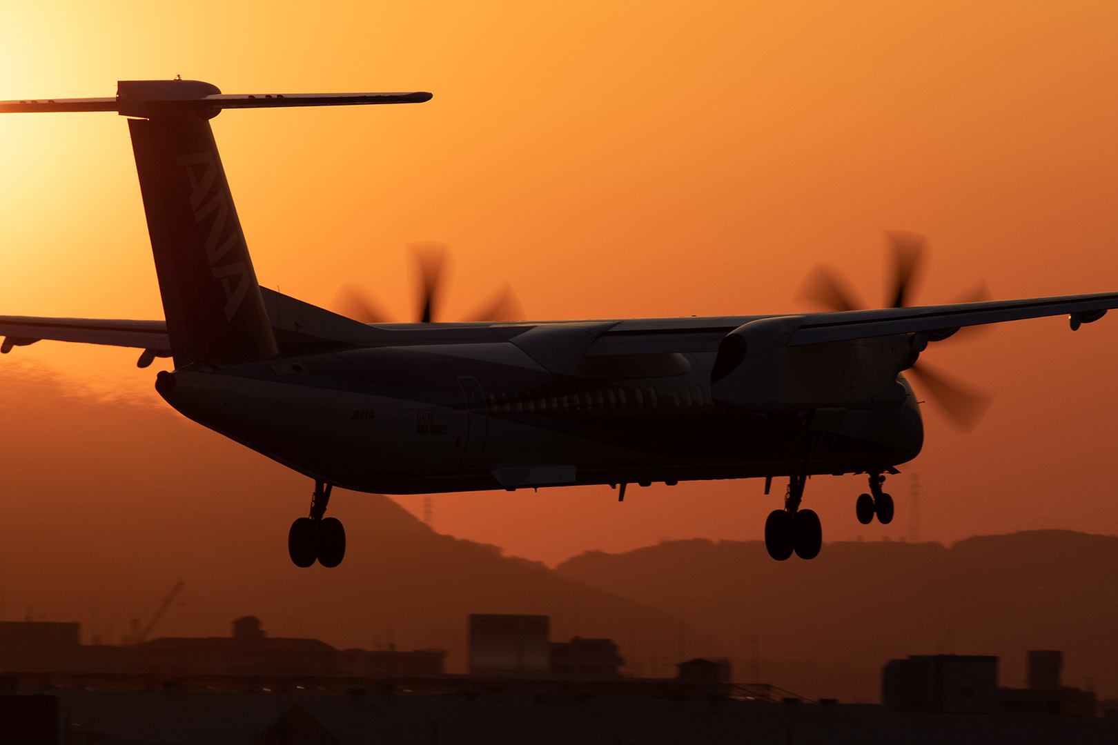 飛行機 夕焼け（伊丹空港、千里川）_a0003166_15054919.jpg