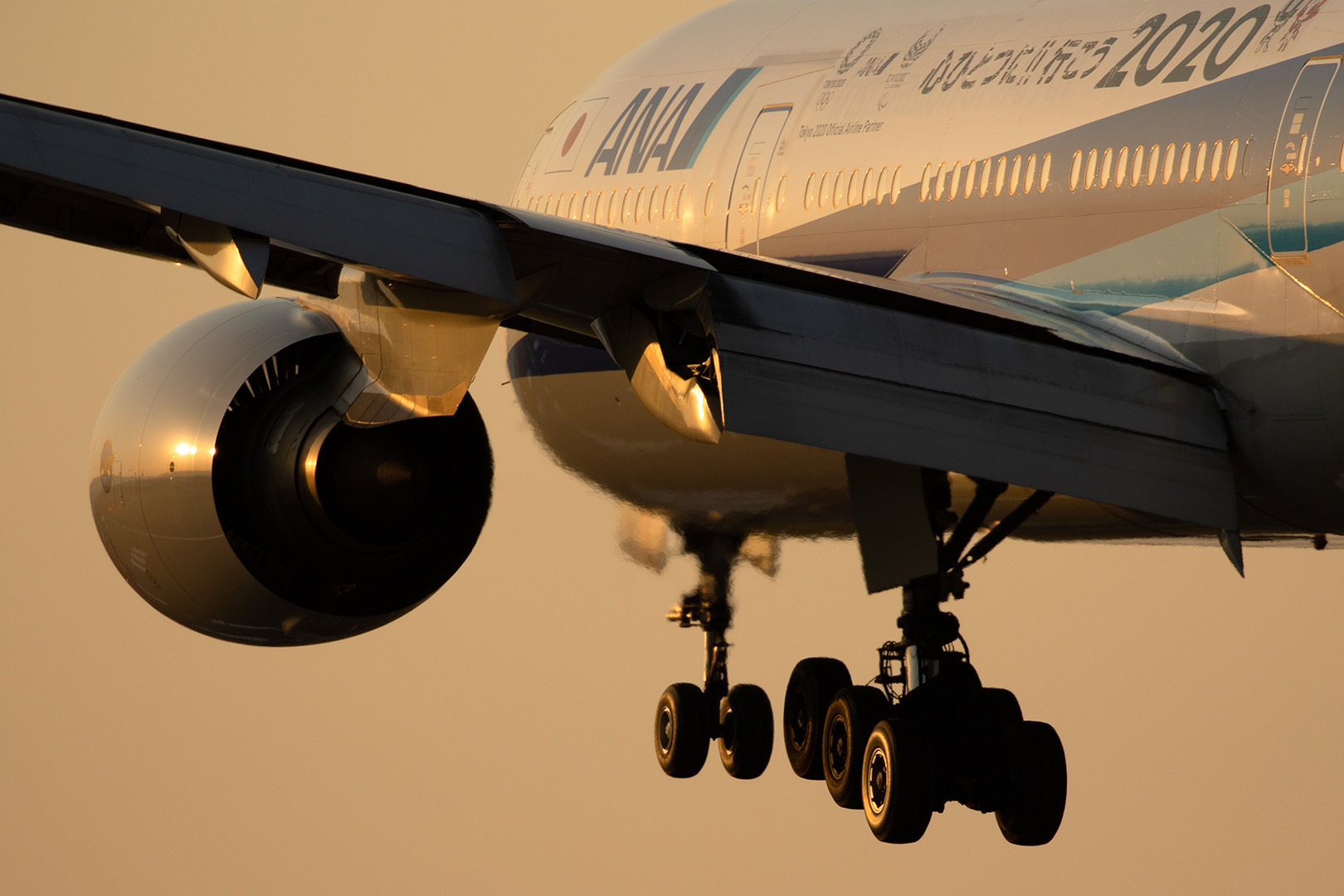 飛行機 夕焼け（伊丹空港、千里川）_a0003166_15055014.jpg