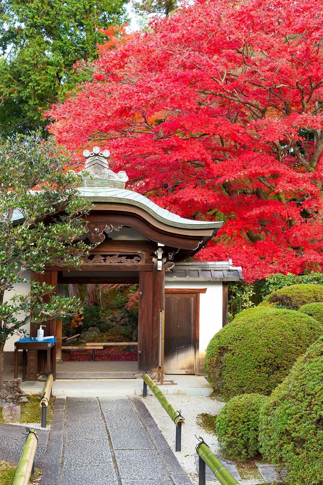 金戒光明寺 栄摂院　紅葉_a0003166_15062837.jpg
