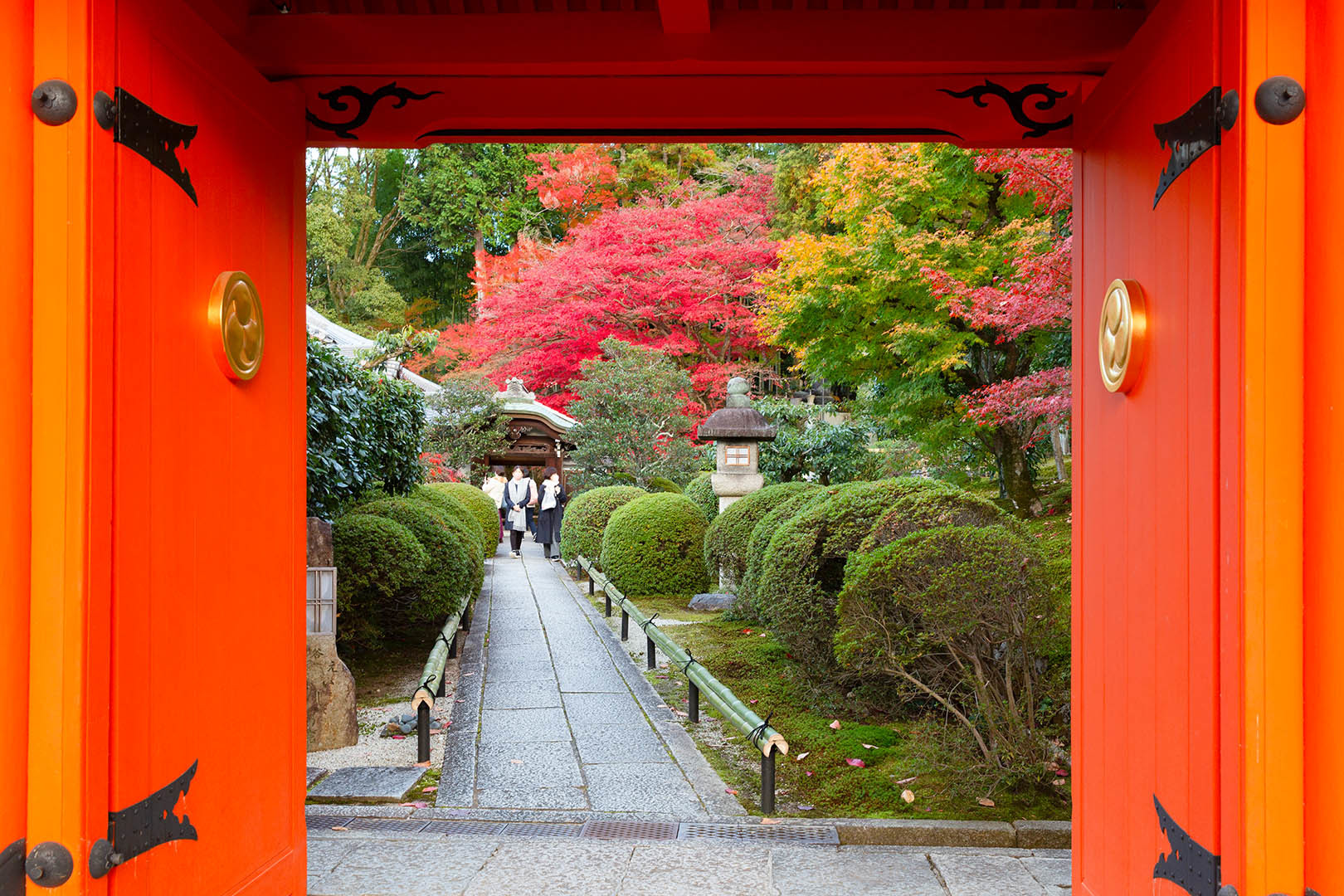 金戒光明寺 栄摂院　紅葉_a0003166_15062872.jpg