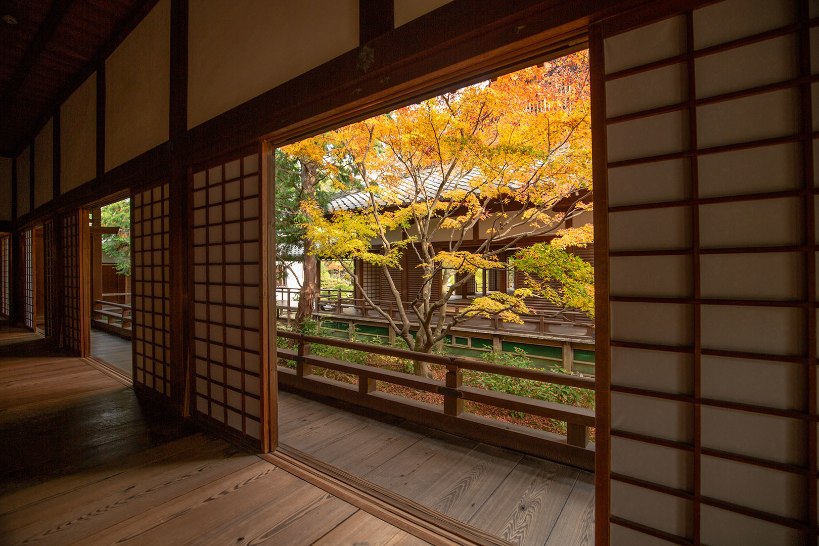 京都 紅葉（毘沙門堂、青蓮院門跡など）_a0003166_15120301.jpg