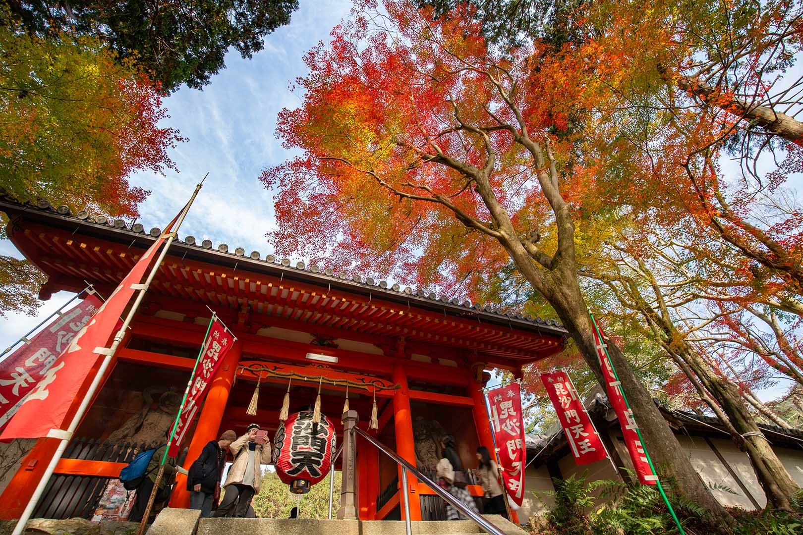 京都 紅葉（毘沙門堂、青蓮院門跡など）_a0003166_15120326.jpg