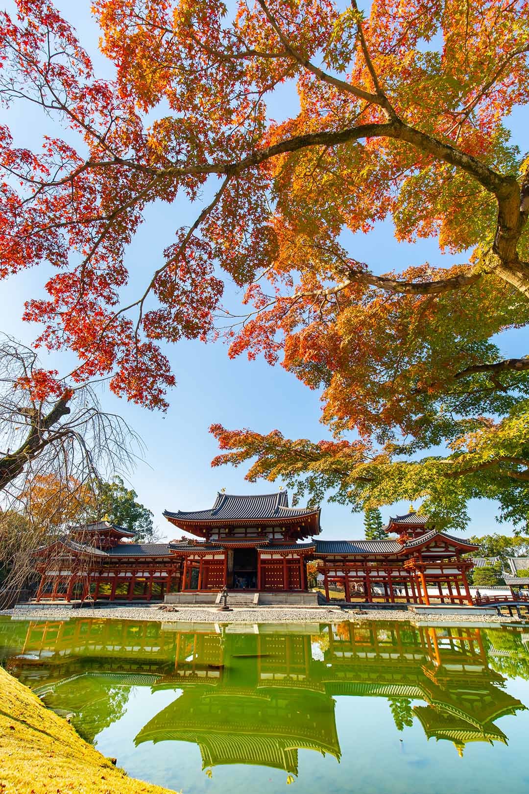 京都 紅葉（毘沙門堂、青蓮院門跡など）_a0003166_15120396.jpg