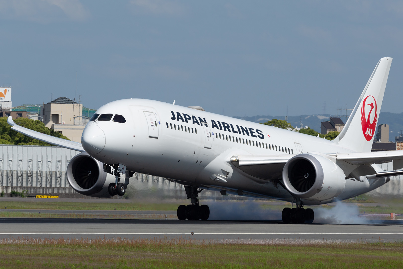 B787 JAL ANA  着陸など（大阪空港 伊丹空港 伊丹スカイパーク）_a0003166_15123562.jpg