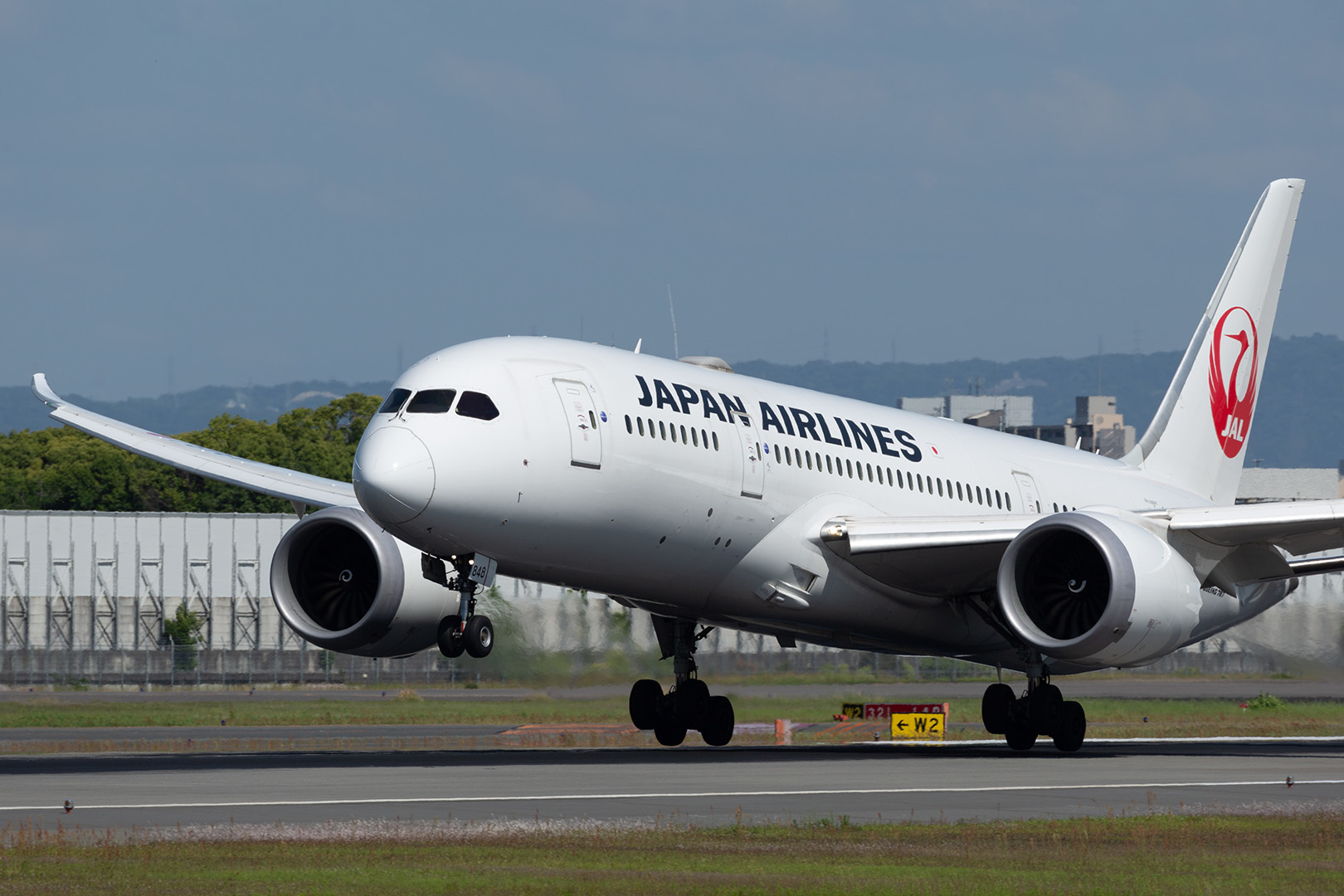 B787 JAL ANA  着陸など（大阪空港 伊丹空港 伊丹スカイパーク）_a0003166_15125270.jpg