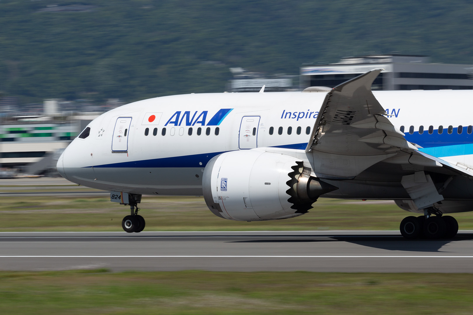 B787 JAL ANA  着陸など（大阪空港 伊丹空港 伊丹スカイパーク）_a0003166_15125319.jpg