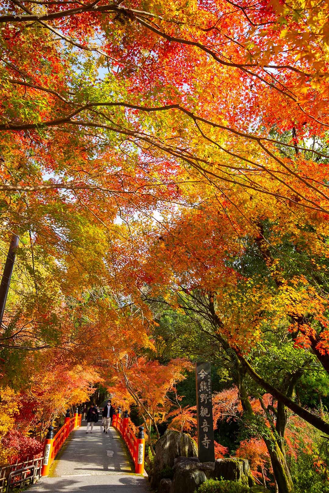 京都 紅葉 （今熊野観音寺など）_a0003166_15145788.jpg