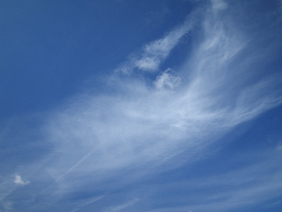 わた_a0003166_15152884.jpg