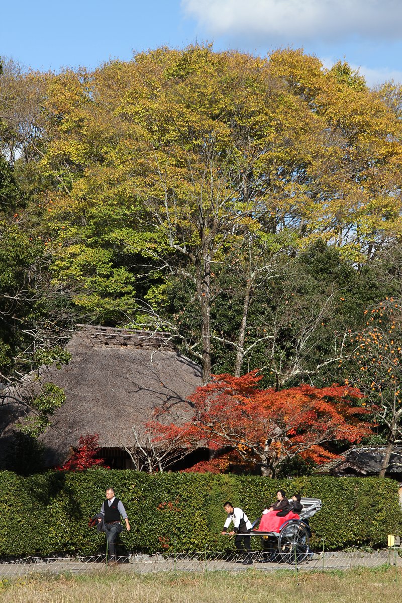 嵐山_a0003166_15164.jpg