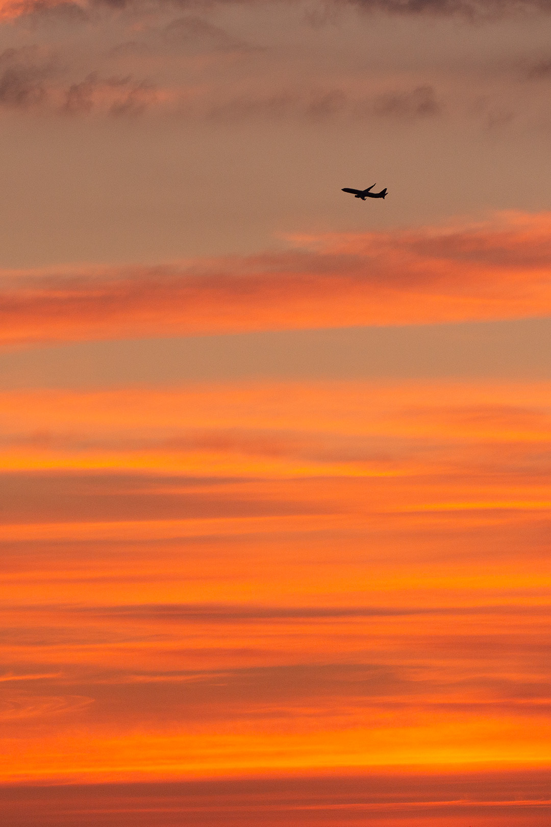 飛行機 夕焼け（伊丹空港、千里川）_a0003166_15174694.jpg