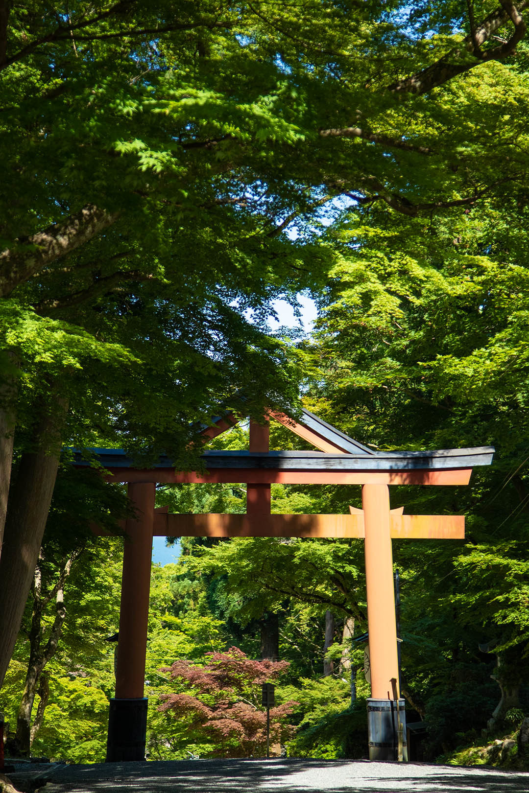 日吉大社_a0003166_15341843.jpg