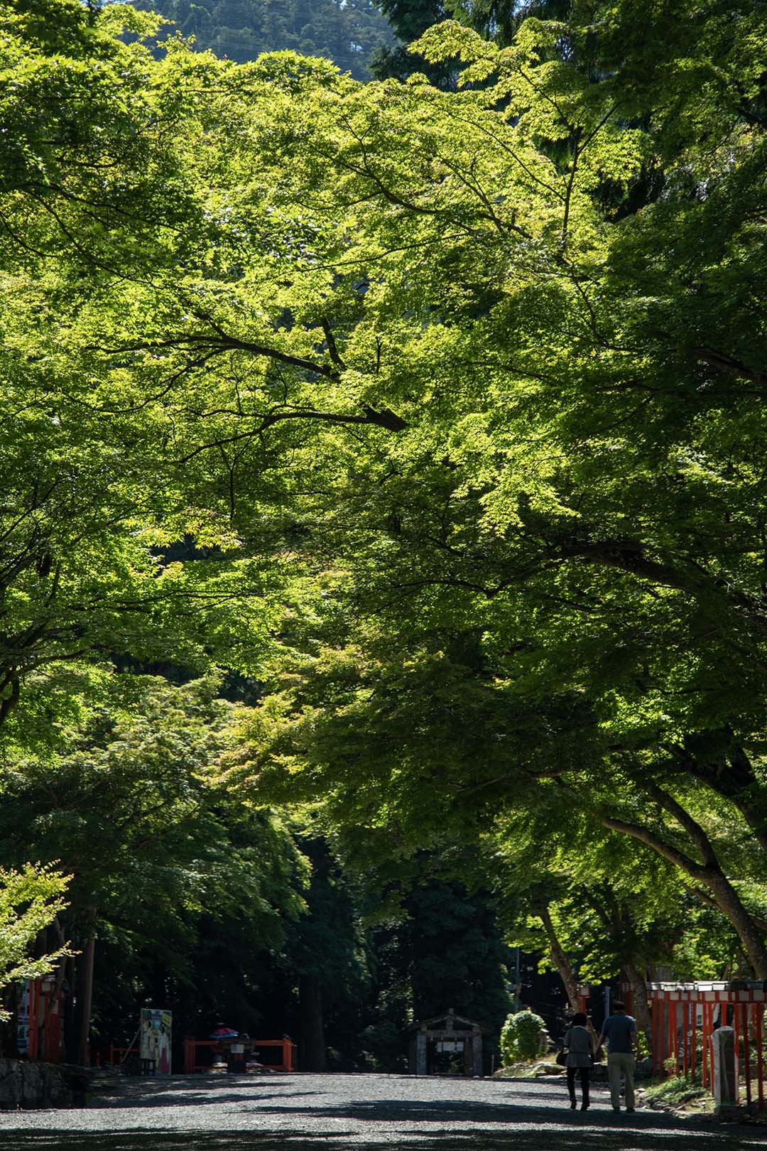日吉大社_a0003166_15341845.jpg