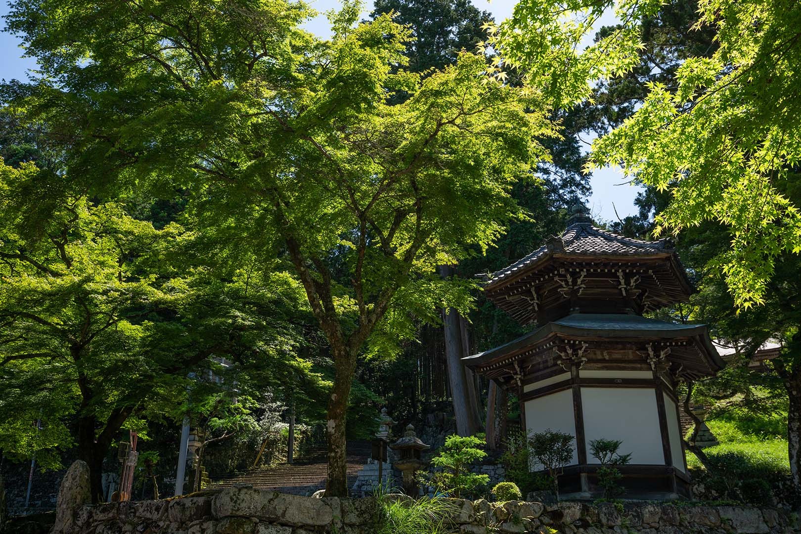 日吉大社_a0003166_15341888.jpg