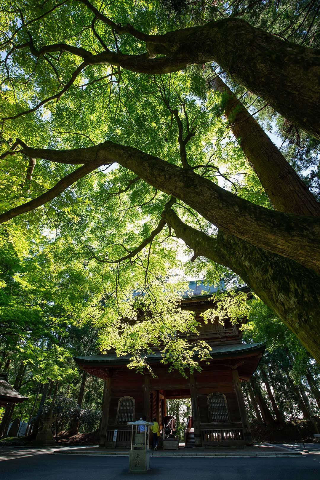比叡山など_a0003166_15353931.jpg