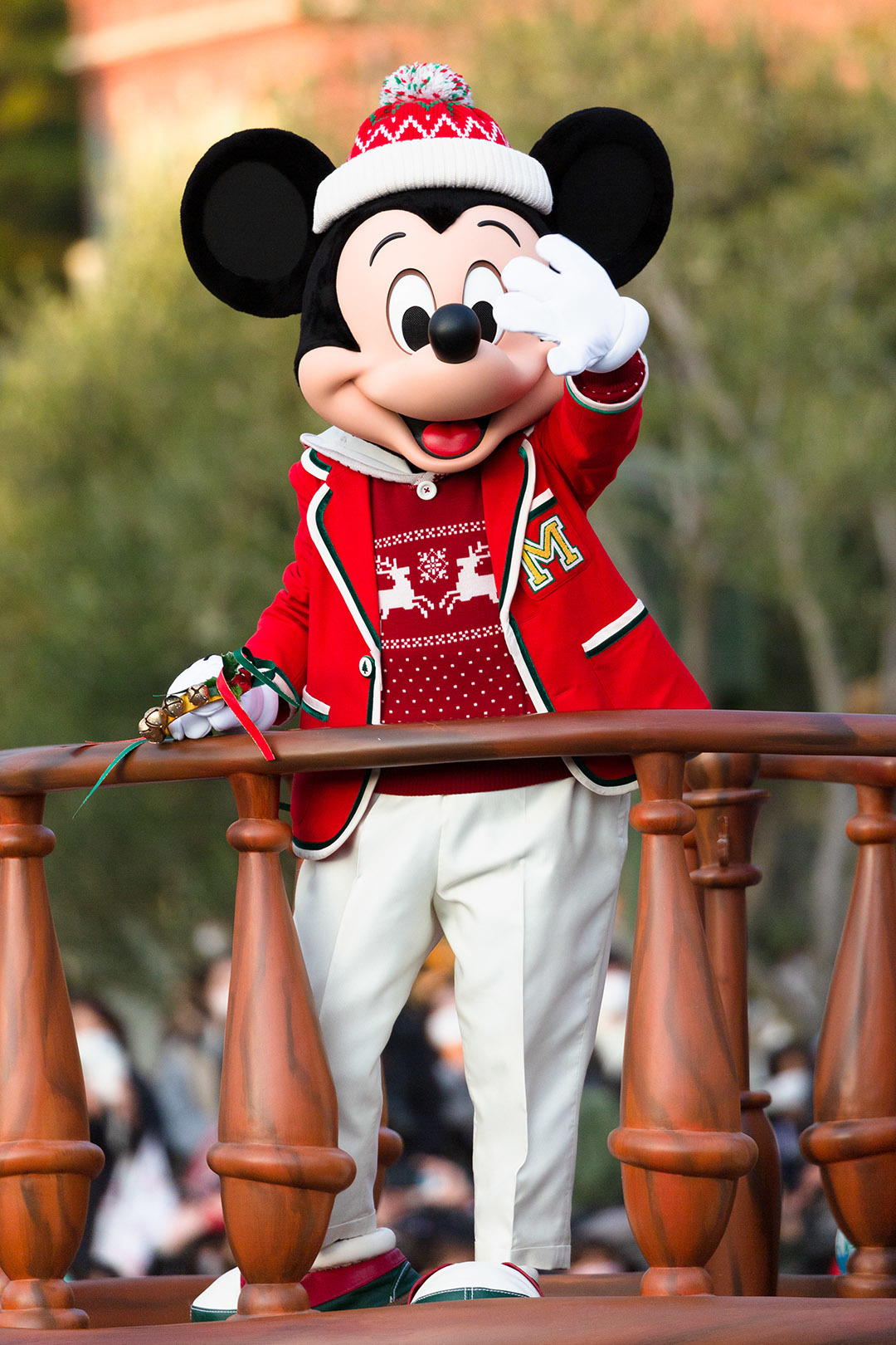 東京ディズニーランド　グリーティングパレード　クリスマス_a0003166_15443663.jpg
