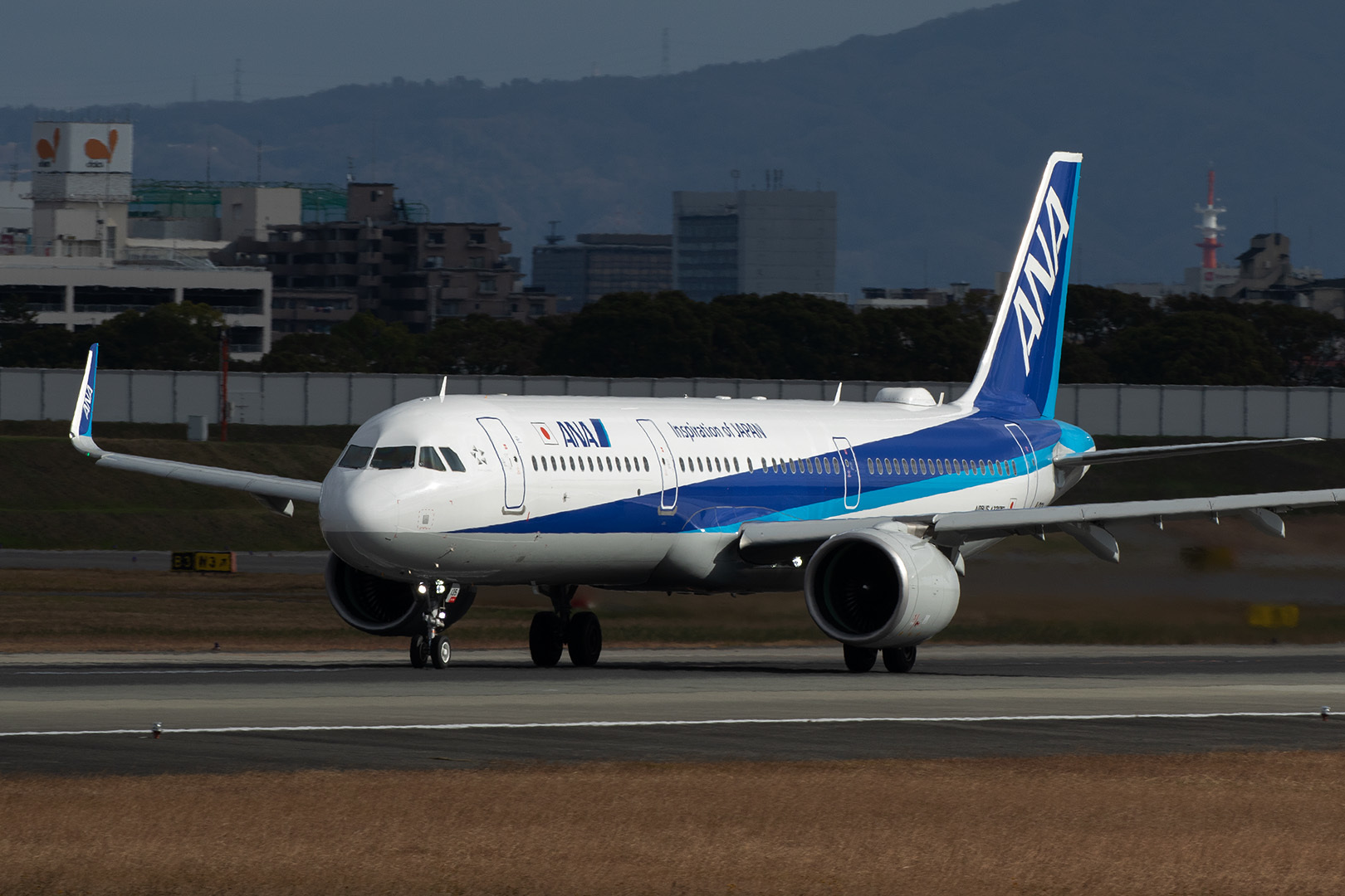 ミニオンジェット、こどもちゃれんじ、A320neo（伊丹空港 、伊丹スカイパーク）_a0003166_15472148.jpg