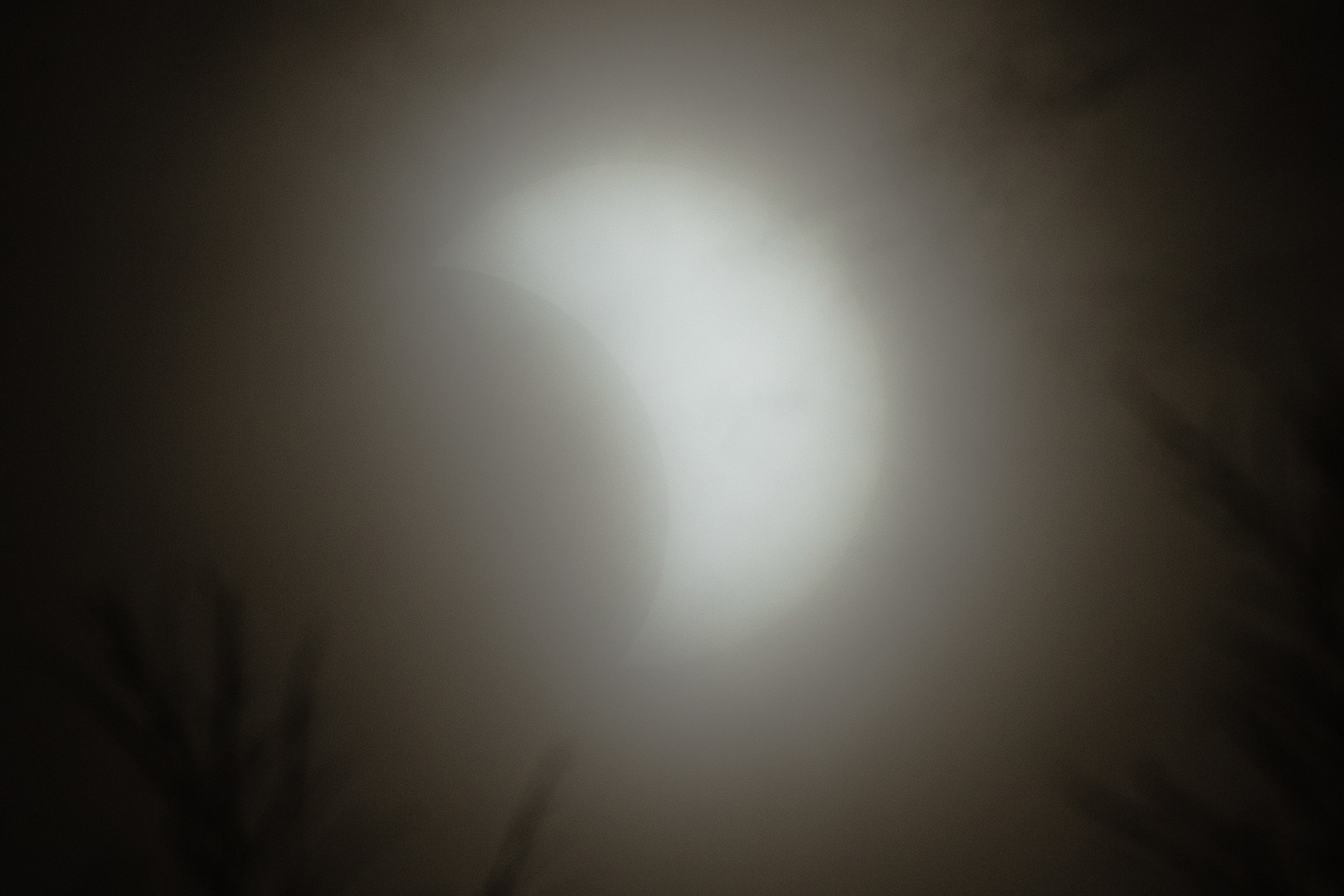 日食_a0003166_15500592.jpg