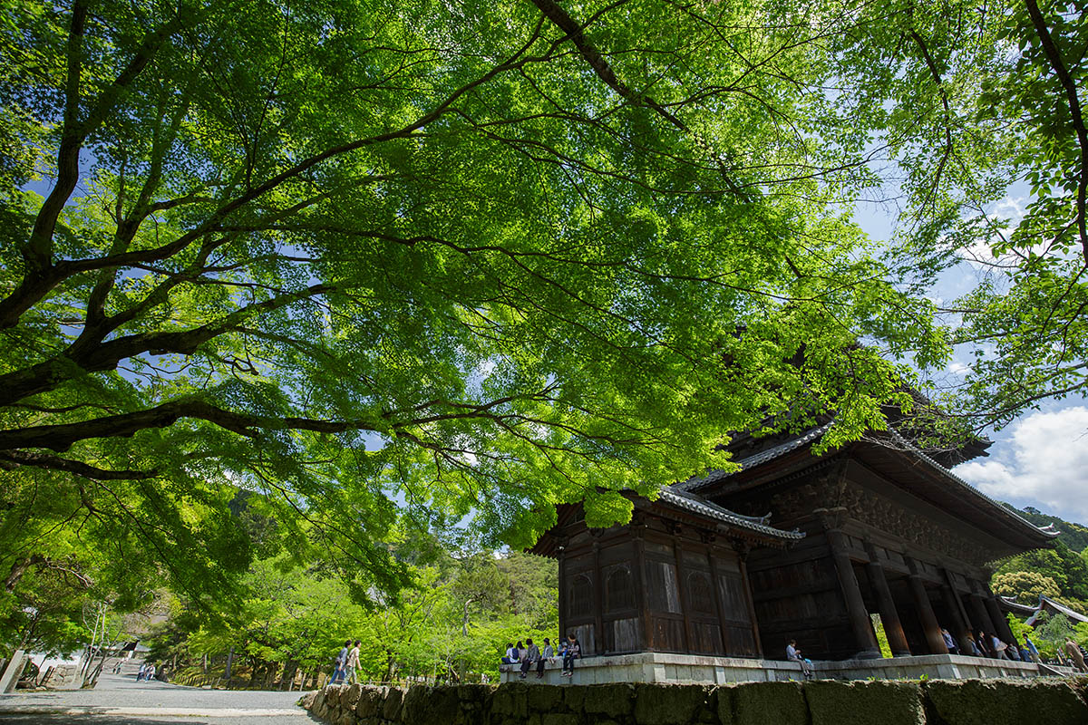 南禅寺、永観堂、蹴上浄水場_a0003166_15535146.jpg