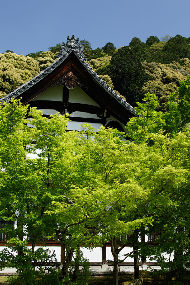 南禅寺、永観堂、蹴上浄水場_a0003166_15535215.jpg