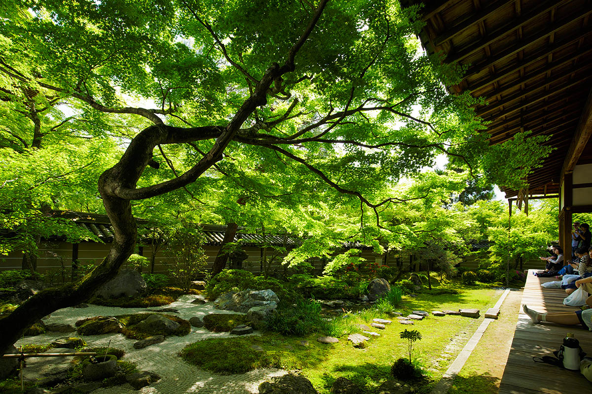 南禅寺、永観堂、蹴上浄水場_a0003166_15535254.jpg