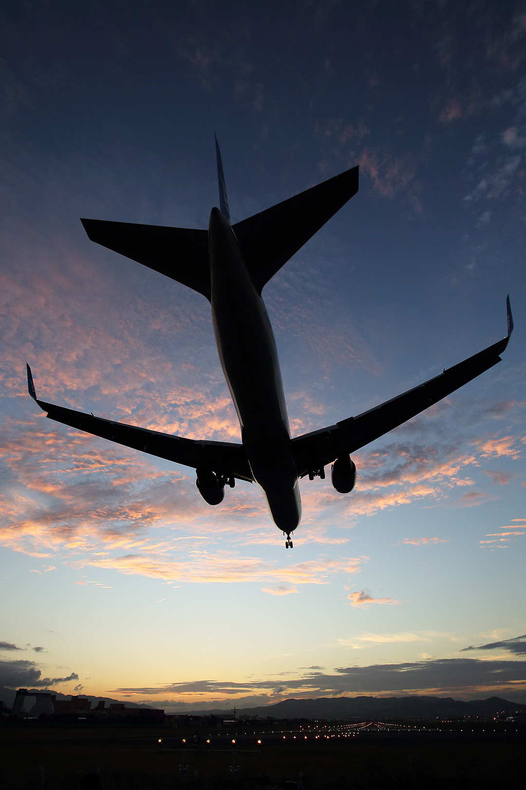 飛行機　（伊丹空港 千里川）_a0003166_155447.jpg