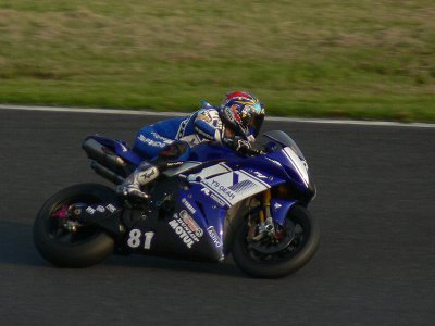 なし_a0003166_1575570.jpg