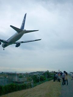 しょぼい写真_a0003166_1579.jpg