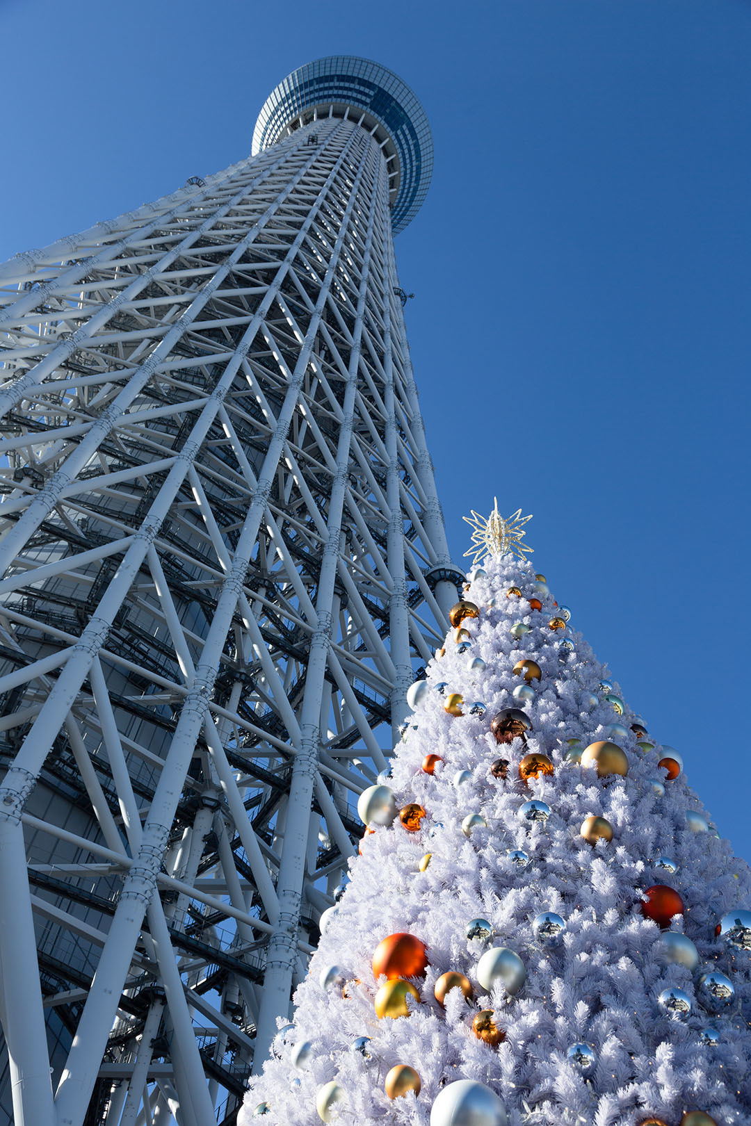 スカイツリー　クリスマスツリー_a0003166_16053168.jpg