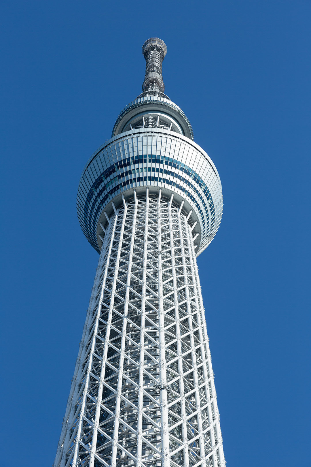 スカイツリー　クリスマスツリー_a0003166_16053247.jpg