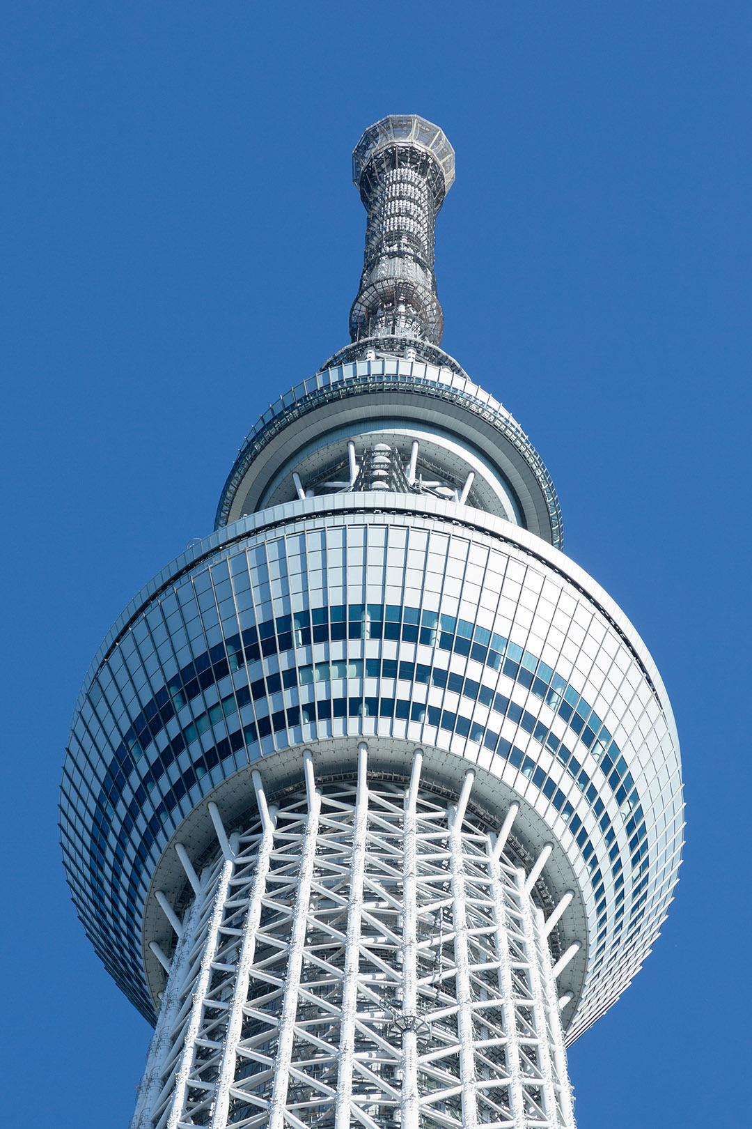 スカイツリー　クリスマスツリー_a0003166_16053253.jpg