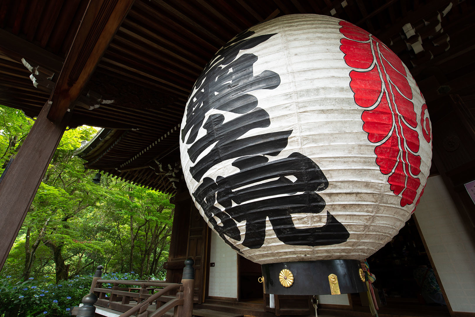 楊谷寺 その２ 大きいちょうちん_a0003166_16065341.jpg