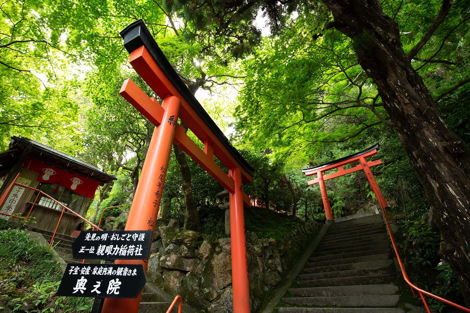 楊谷寺　その３_a0003166_16080150.jpg