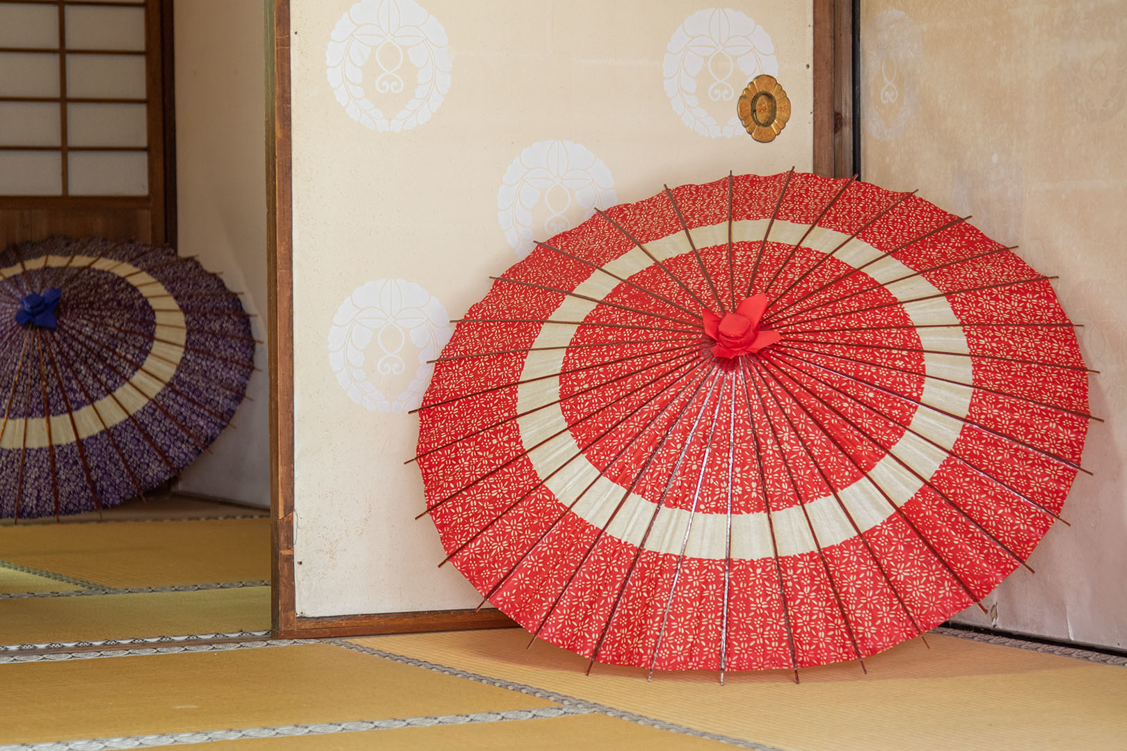 楊谷寺　その３_a0003166_16080268.jpg