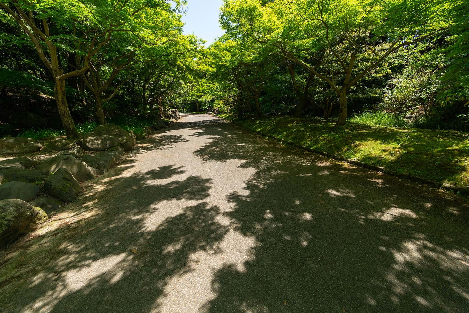 万博公園 新緑_a0003166_16115692.jpg