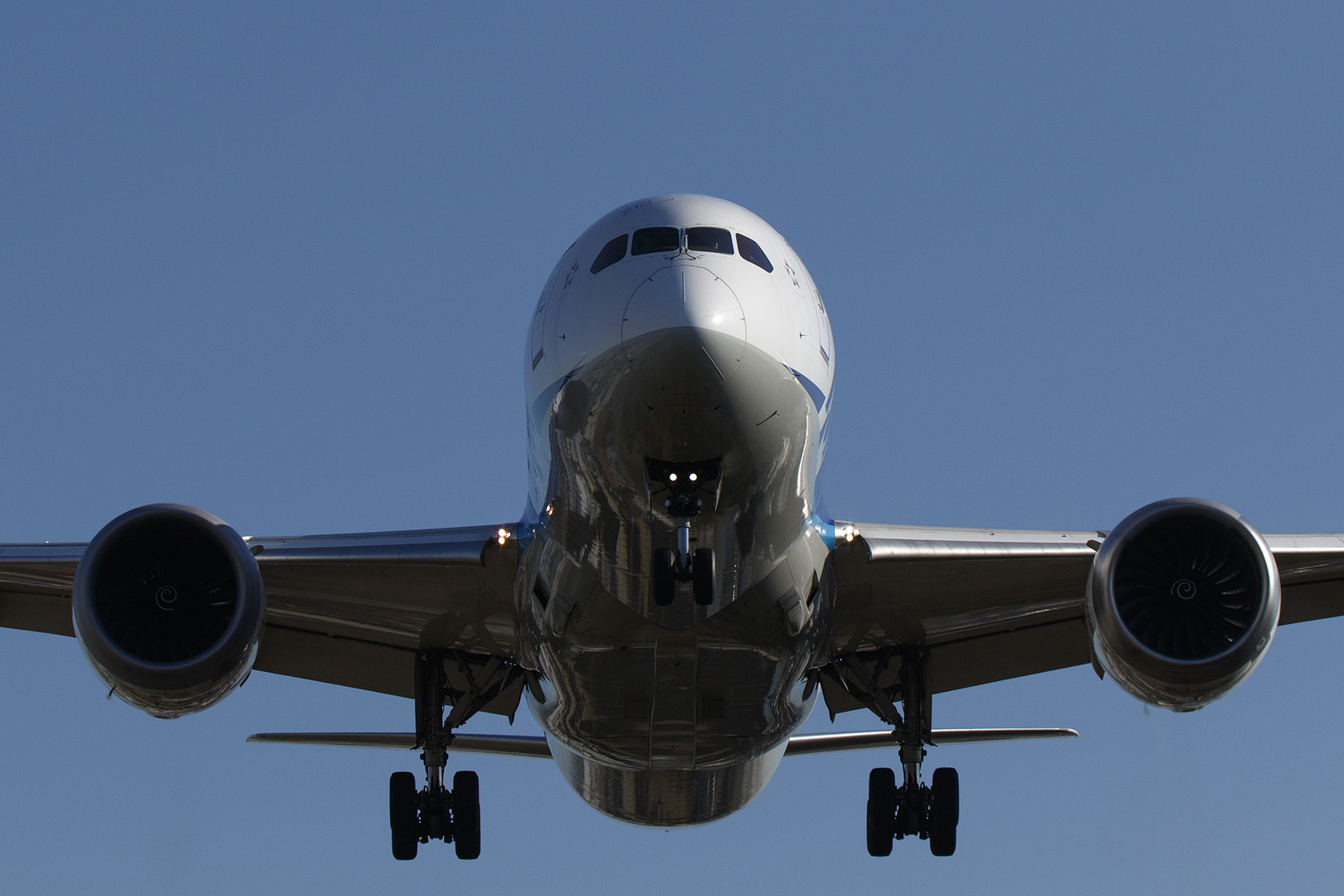 飛行機　（伊丹空港 スカイパーク、千里川）_a0003166_16194182.jpg