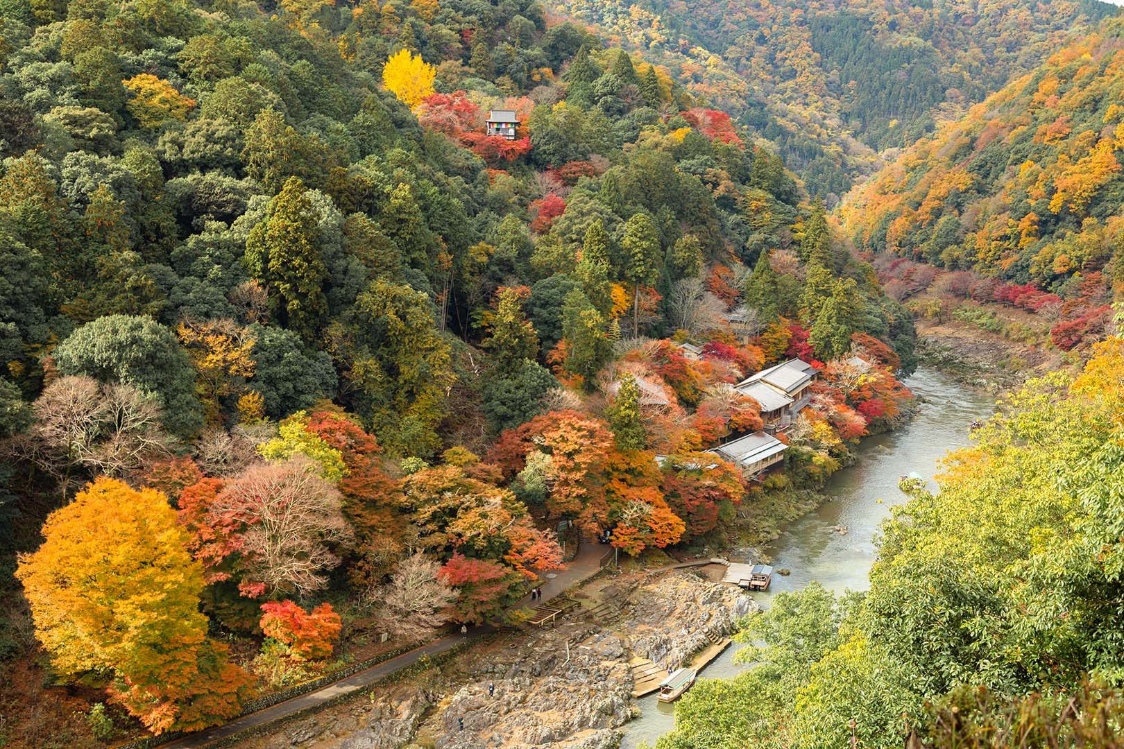 嵐山 紅葉_a0003166_16251162.jpg